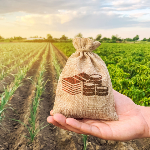 Jelentős pusztítást okozhat Brüsszel ámokfutása az agráriumban